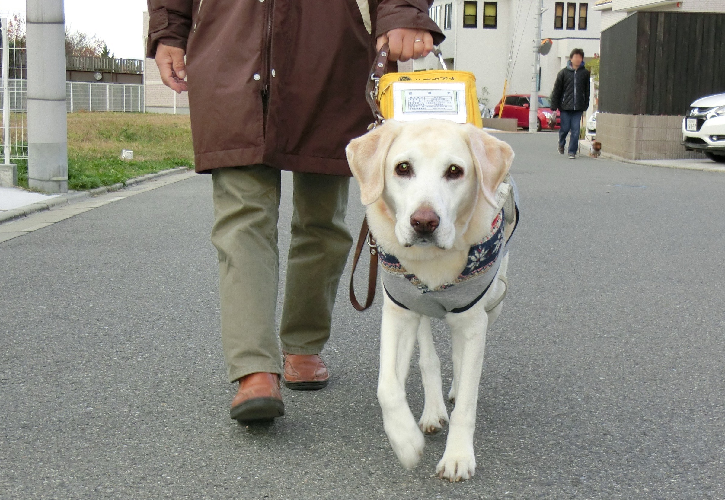ＮＰＯ法人日本サービスドッグ協会 | H2Oサンタ